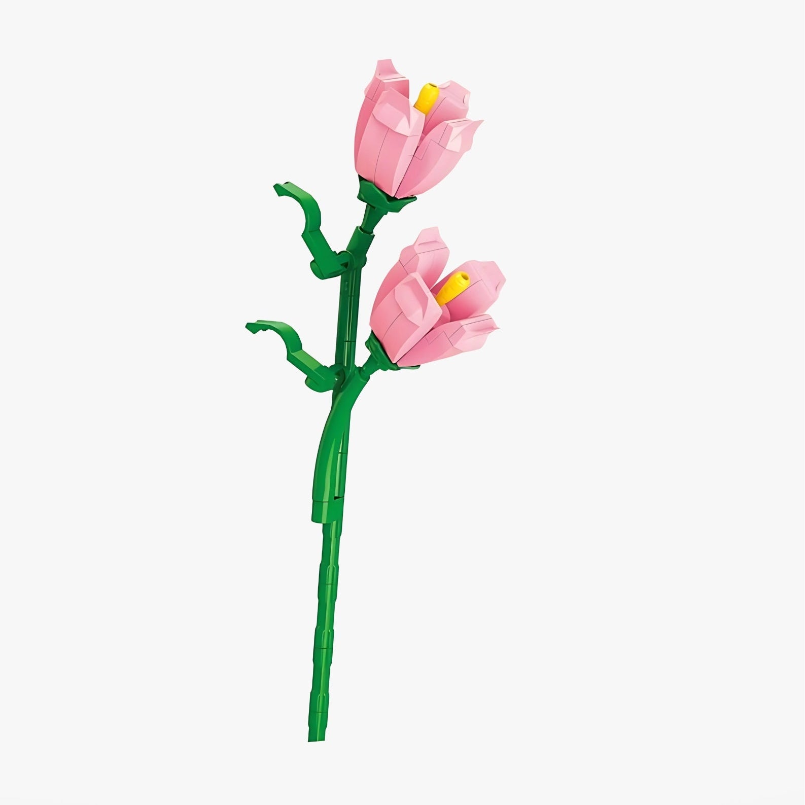 Illustration of a flower with two buds with green stems on a white background