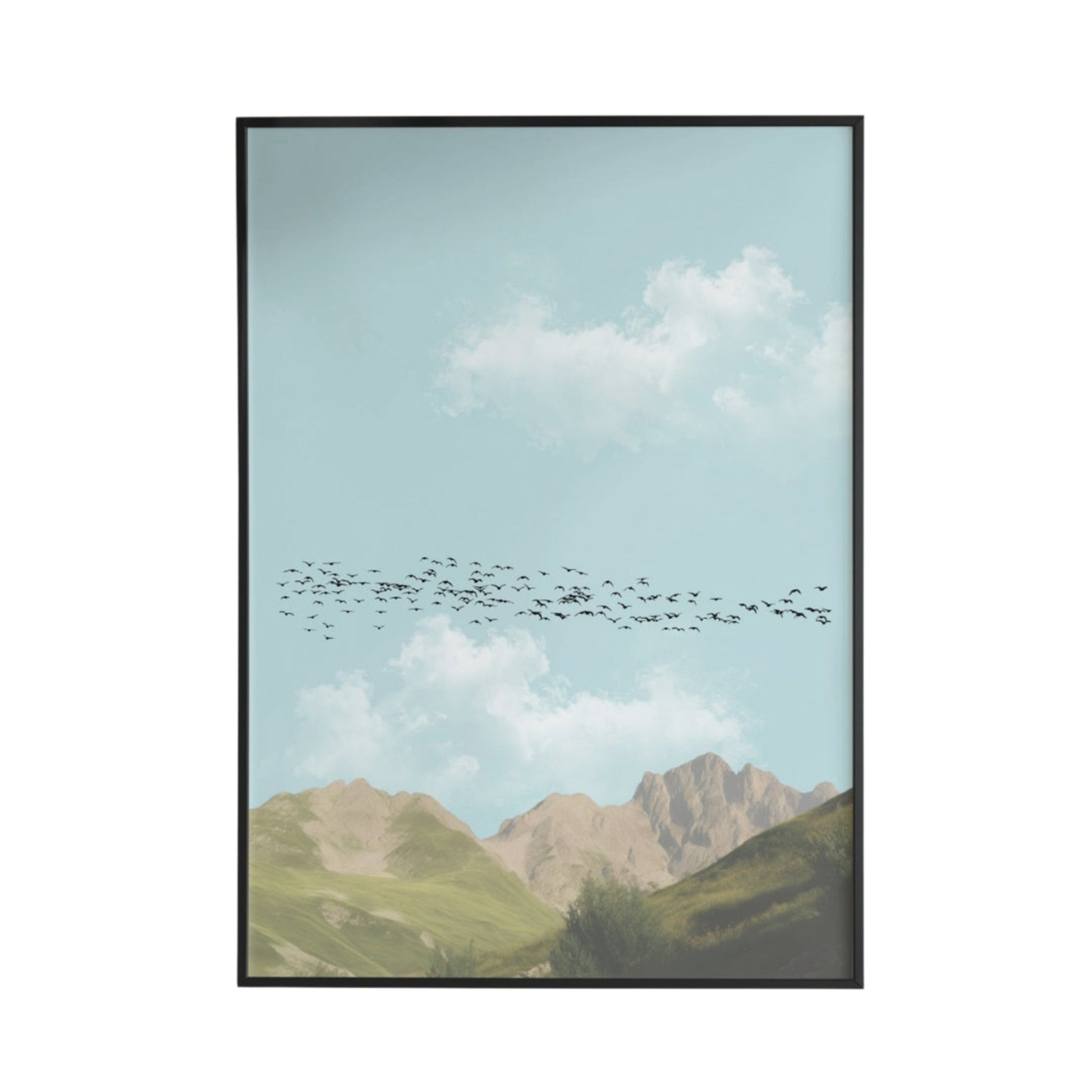 Murmuration Poster - Poster - Thanks a ton