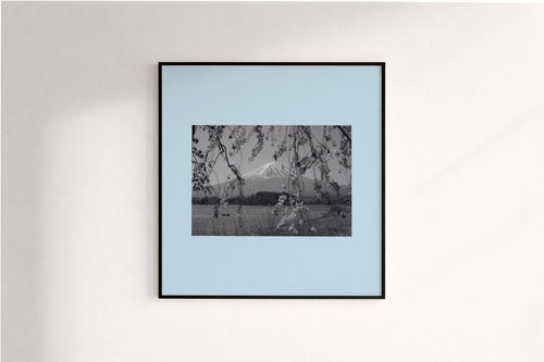 4/1 Poster Gallery Wall Set -Poster - Thanks a ton