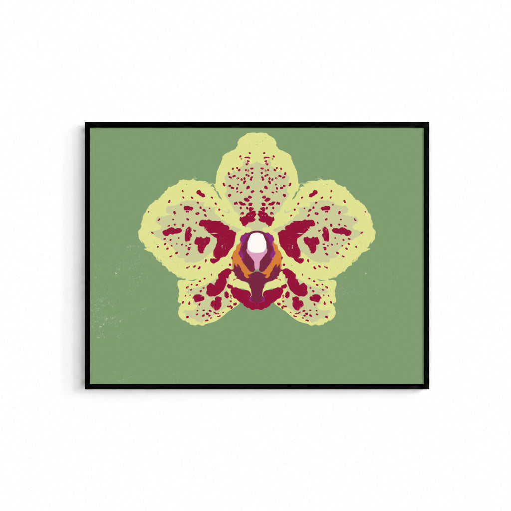 Orchid May Poster