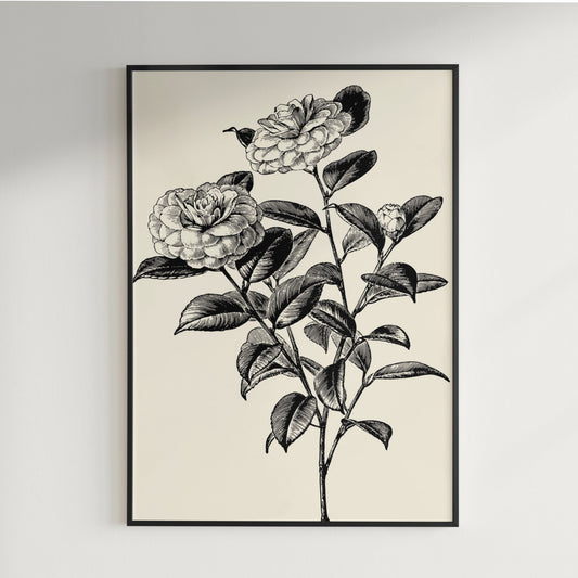 Monochrome Blossom Poster - Poster - Thanks a ton