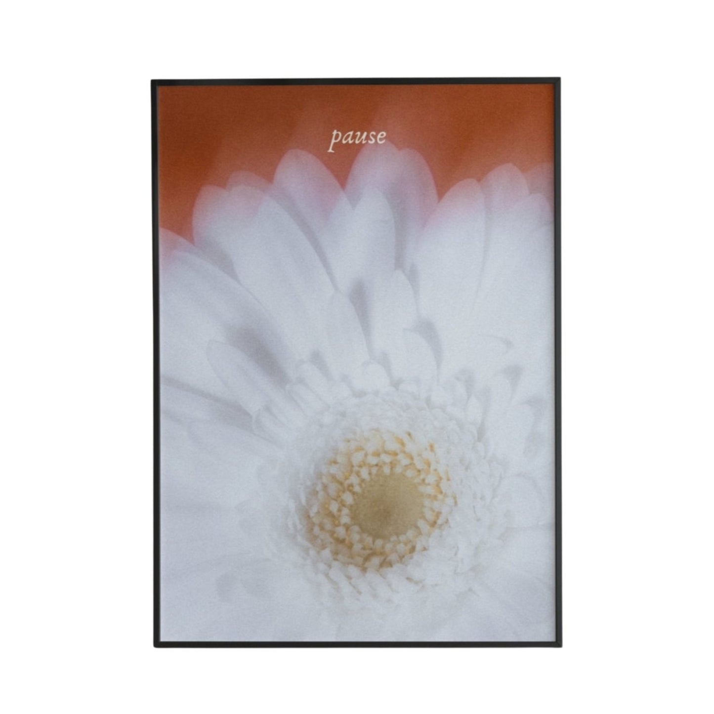 Pause Poster - Poster - Thanks a ton