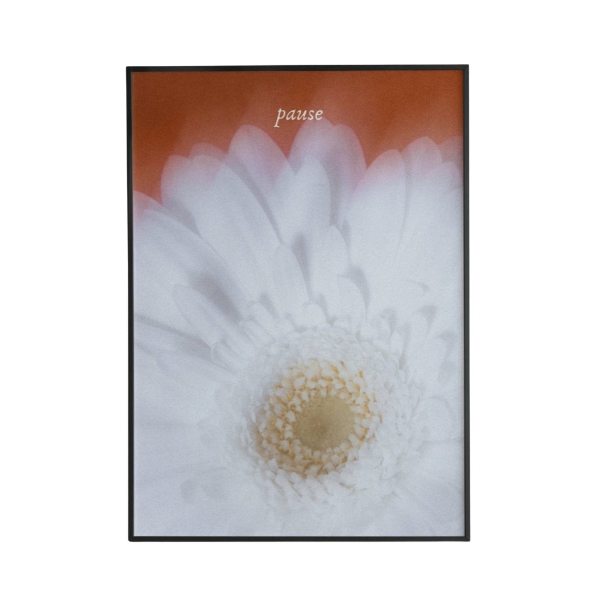 Pause Poster - Poster - Thanks a ton