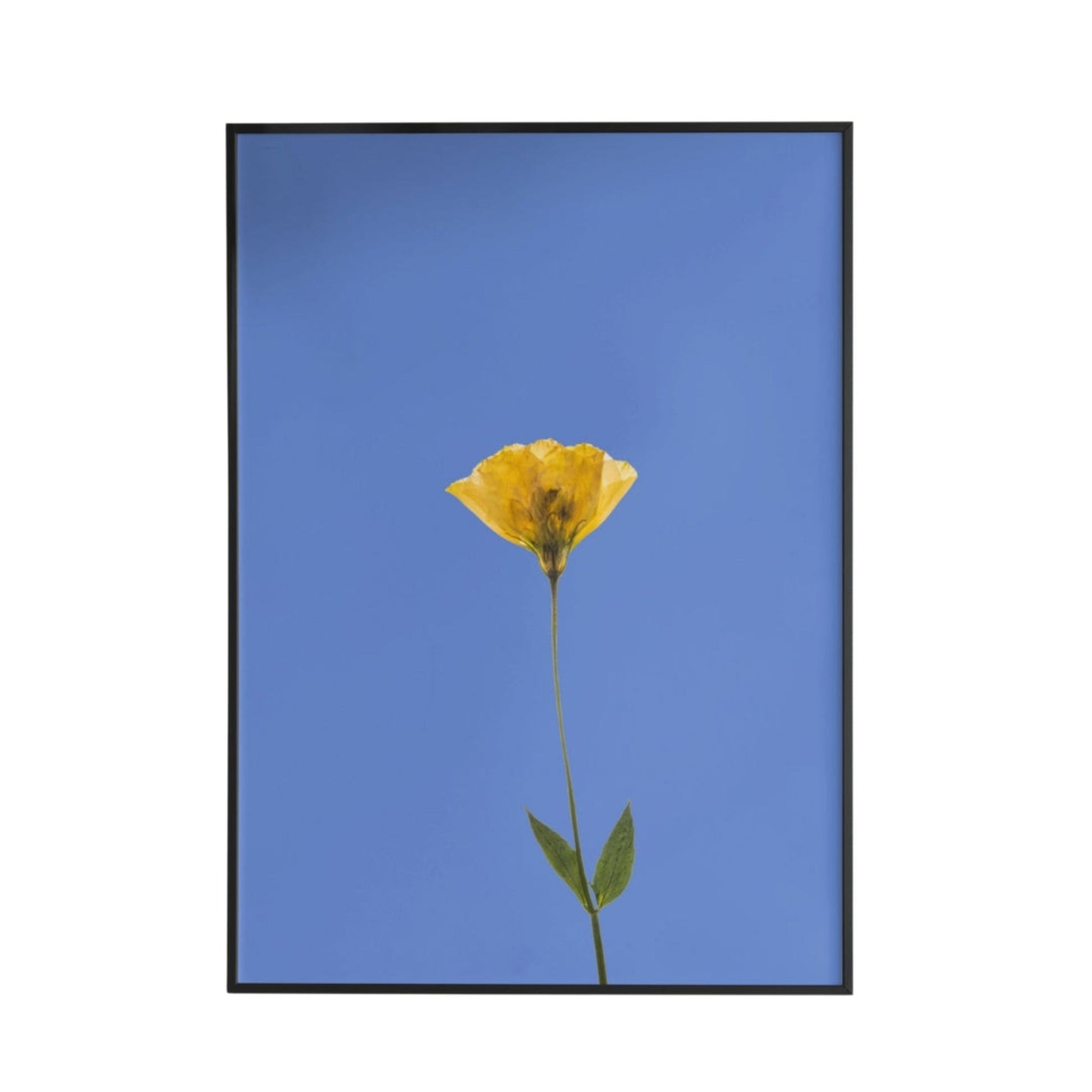Sunburst Simplicity Poster - Poster - Thanks a ton